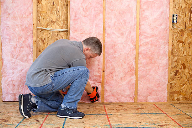 Best Insulation for Specific Applications in Silver Springs Shores, FL